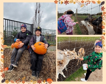 att.dl7eG6cYLcFZ3vi-RTcYz1HvdCE4KbQIG-_2iCDS1wU.jpeg