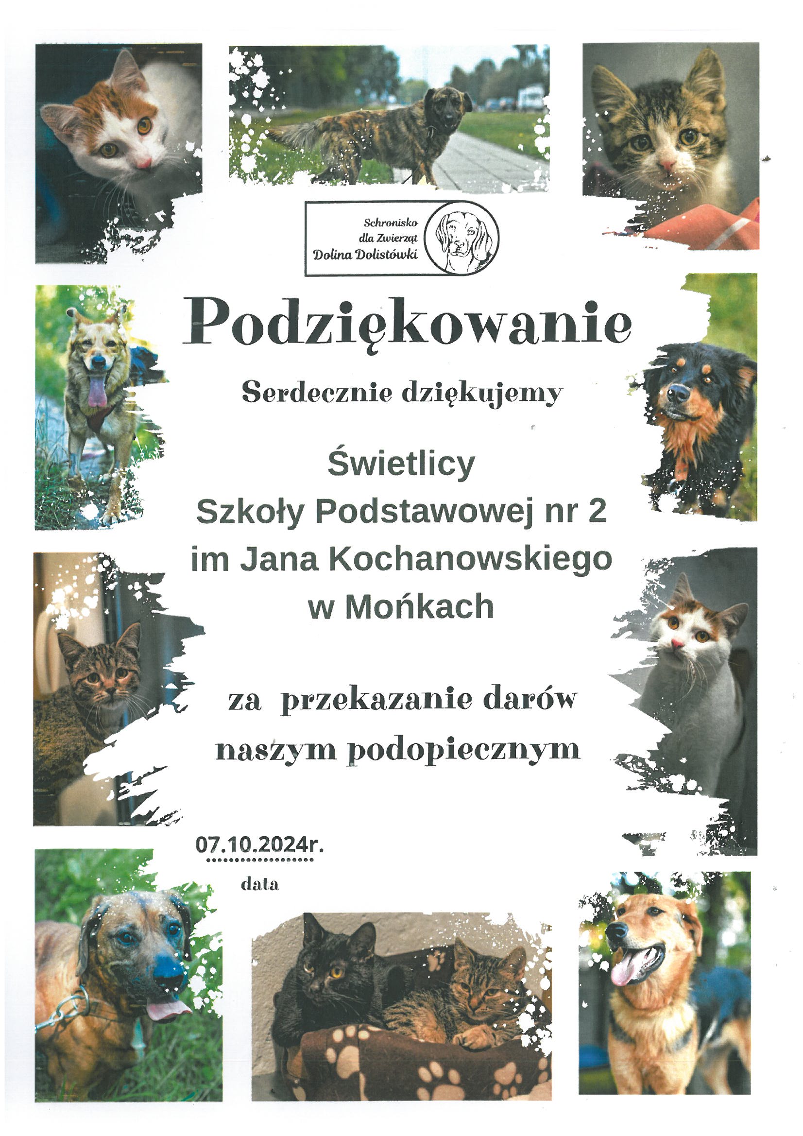 PODZIĘKOWANIE ZA UDZIAŁ W ZBIÓRCE KARMY I INNYCH ARTYKUŁÓW DLA SCHRONISKA