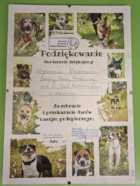 Podziękowanie za udział w zbiórce artykułów dla schroniska