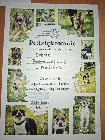 PODZIĘKOWANIE ZA UDZIAŁ W ZBIÓRCE ARTYKUŁÓW DLA SCHRONISKA